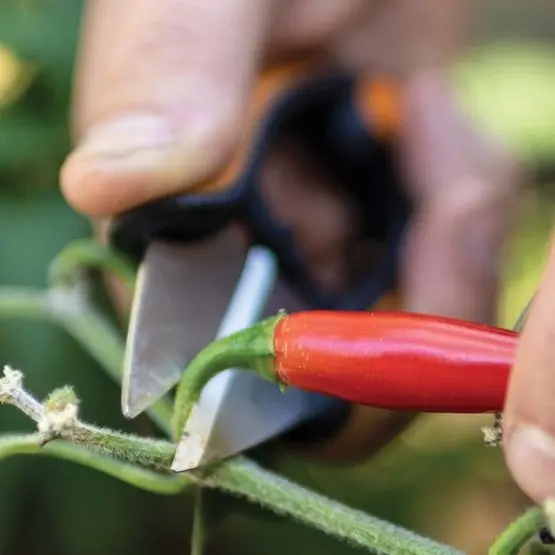 FISKARS Keukenapparatuur - Schaar Voor Kruiden 1063326 9 FISKARS Keukenapparatuur - Schaar Voor Kruiden 1063326 - Afbeelding 7