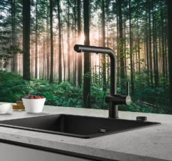 Franke Active New - Keukenkraan FN 6110.901, Met Uittrekbare Handdouche, Mat Zwart 115.0653.382 -SANITINO WINKEL b8e2f909346a697c5141a4de