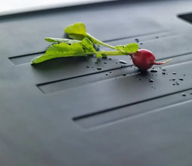 Franke Malta - Fragraniet Spoelbak BSG 611-62, 62x44 Cm, Steengrijs 114.0395.151 5 Franke Malta - Fragraniet Spoelbak BSG 611-62, 62x44 Cm, Steengrijs 114.0395.151 - Afbeelding 3